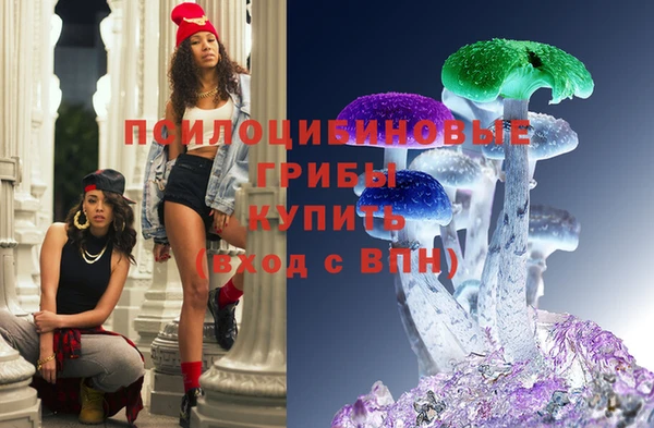 прущая мука Щигры
