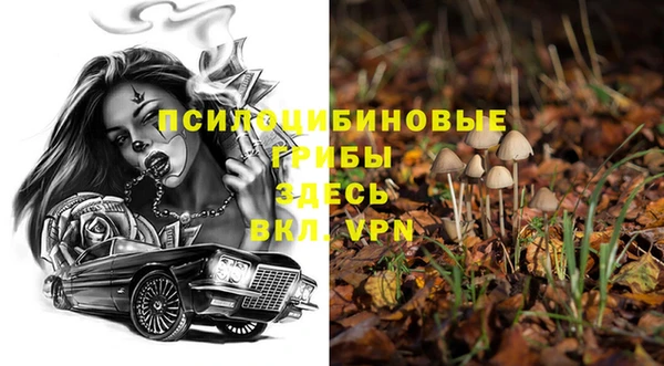 MESCALINE Щучье