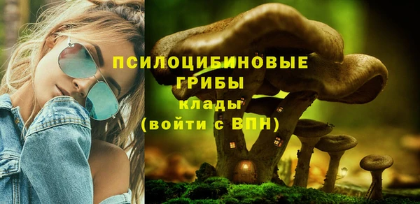 прущая мука Щигры