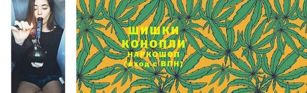 прущая мука Щигры