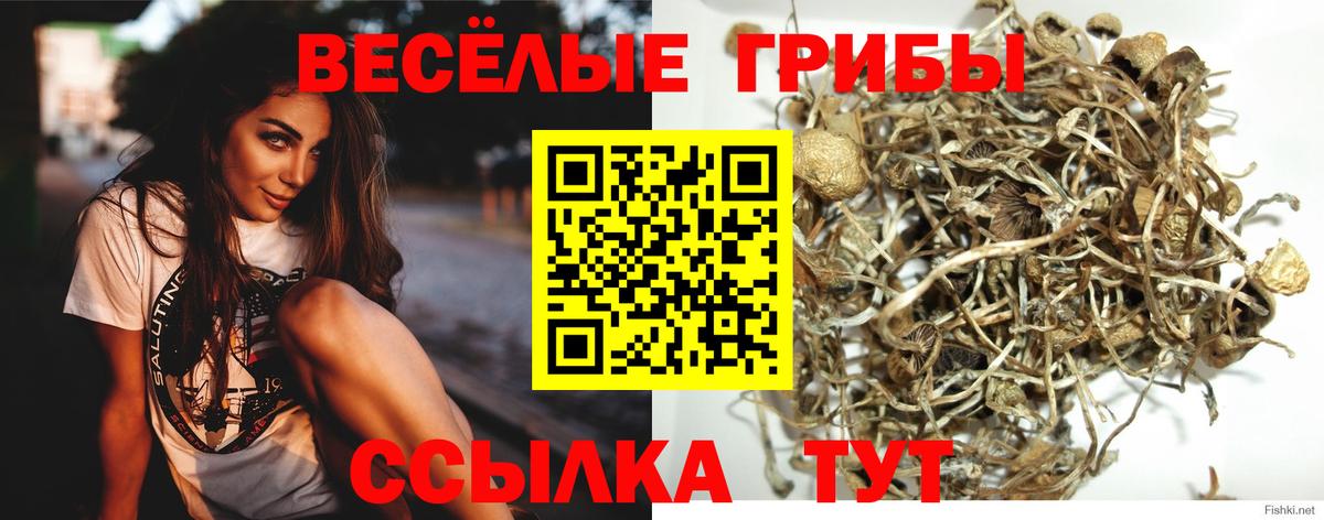 Псилоцибиновые грибы мухоморы  Вход с VPN  Галлюциногенные грибы мухоморы  Сызрань 