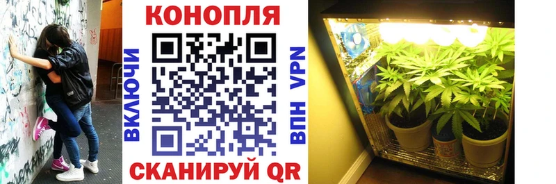 Марихуана тримм нарко площадка клад Сызрань сколько стоит